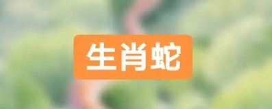 生肖蛇的偏財運分析